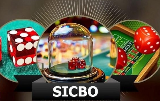 jili777
jiliasia slot
90jili
vip slot 777
fishing slot 777
777 slots casino
777 bet online casino
slot 777 online
777 slots login
jiliplay888
777live casino login
777live casino login download
12bet
12bet login
12bet com
12bet app
12bet mobile login
smart 12bet login
12bet india
12bet login in india
12bet mobile
12bet app login
12bet com login
12bet login india
12bet registration
12bet affiliate
12bet login app
smart 12bet
smart 12bet com
12bet live chat
12bet sports
12bet sportsbook
12bet download
www 12bet com
12bet apk download
12bets
12bet smart
12bet exchange
12bet link
12bet login home
link 12bet
12bet app download
12bet login live chat
12bet apk
12bet mobile app
12bet support
12bet india
12bet live chat india
is 12bet legal in india
12bet india review
12bet com india
12bet india app
12bet bookies india
12bet do need verification in india
12bet in india
12bet india cricket
12bet india quora
12bet is legal in india